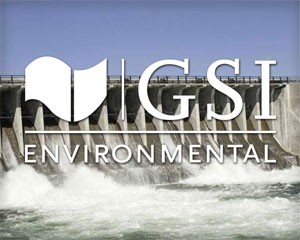 GSI Environmental