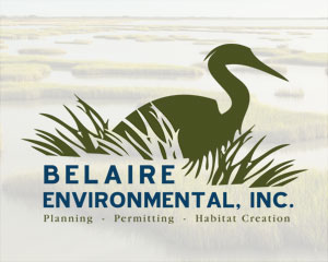 Belaire Environmental